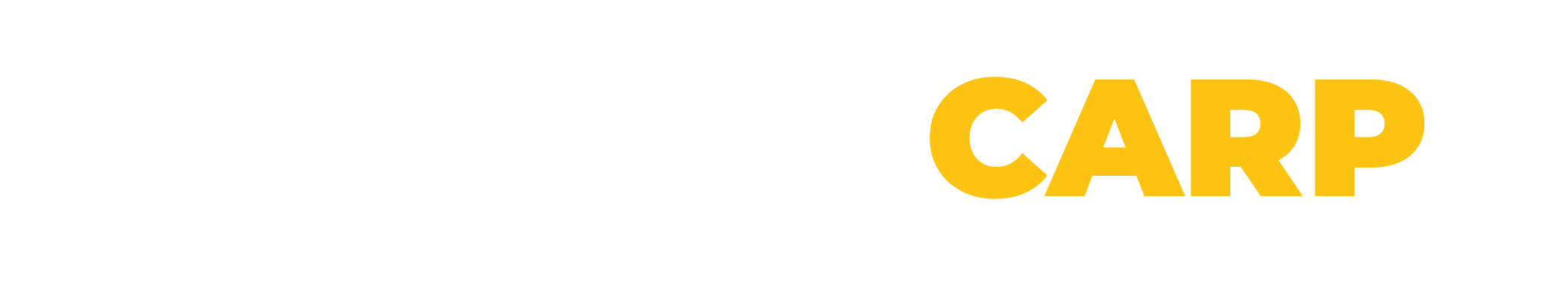 logo easycarp